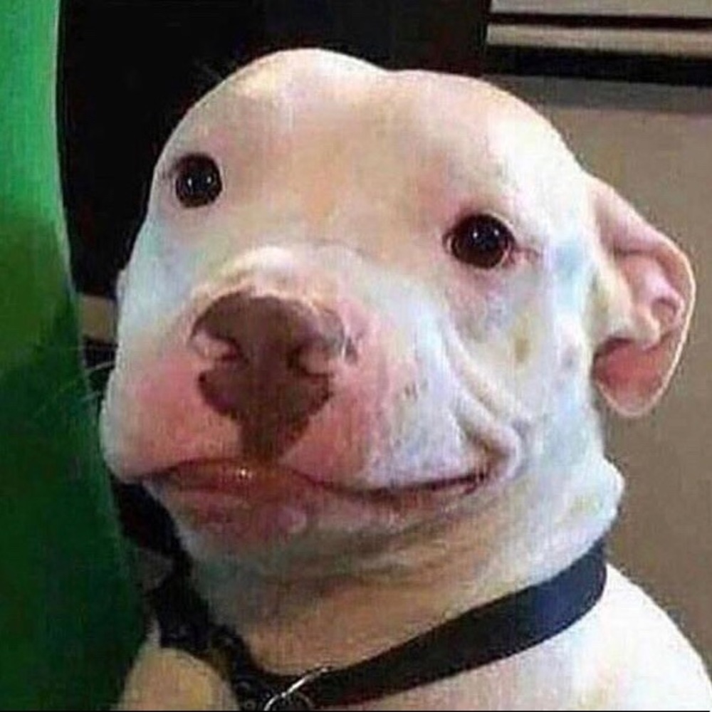 Meet your Posher, Chuie